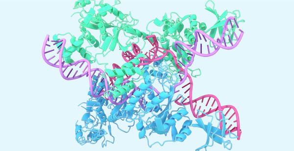 Google Teases Next Generation of AlphaFold, Expanding AI Structure Prediction Beyond Proteins