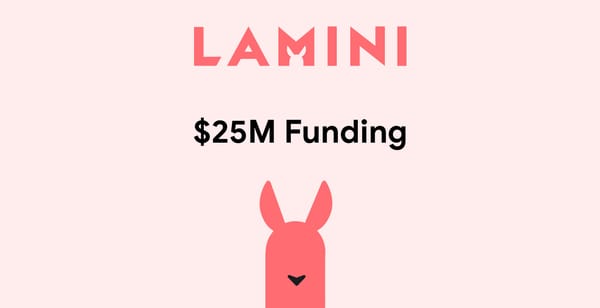 Lamini Secures $25 Million Funding to Bring Enterprise AI In-House